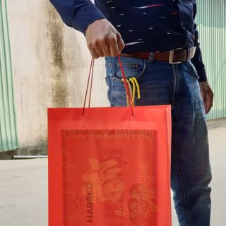Túi quà Tết cỡ đại bền đẹp