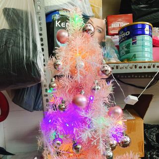 CÂY THÔNG GIÁNG SINH 60cm MÀU HỒNG PHẤN FULL PHỤ KIỆN - NOEL Giá 250k