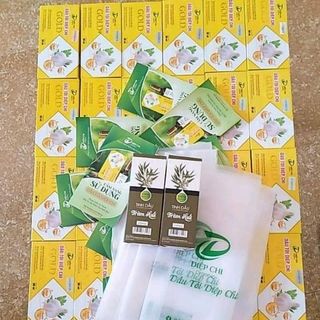 tinh dầu tràm huế