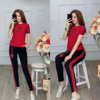 bộ coton B3