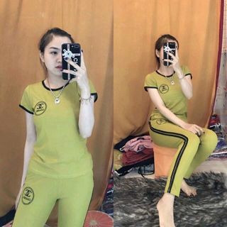 bộ coton B4