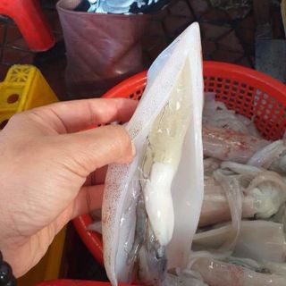 Mực trứng Đặc sản Đảo Phú Quý Phan Thiết tầm 20 con/1kg