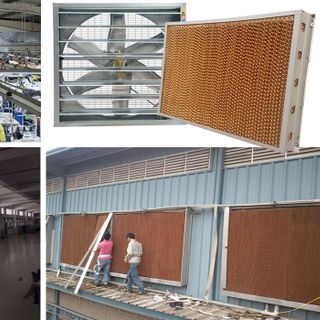 Tấm làm mát cooling pad chống rêu cho nhà xưởng