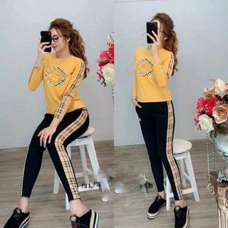 bộ coton B5