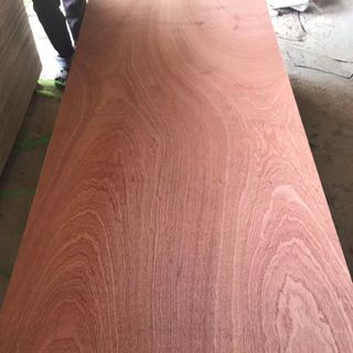 ván ép lvl pallet phương hỷ