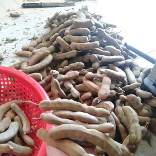 mứt me nhà làm
