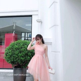 đầm lưới 65k