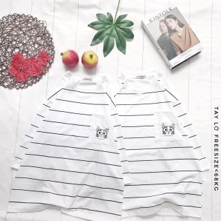 ÁO THUN MÈO SỌC DỄ THƯƠNG