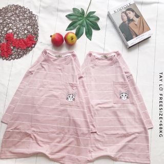 ÁO THUN MÈO SỌC DỄ THƯƠNG