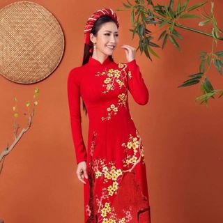 Áo dài truyền thống mẫu mới
