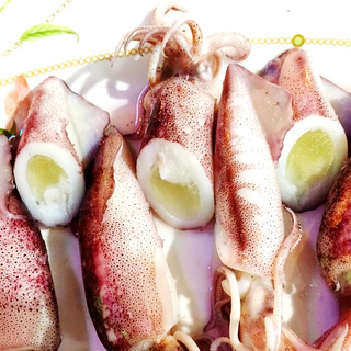 mực trứng thị trường sỉ