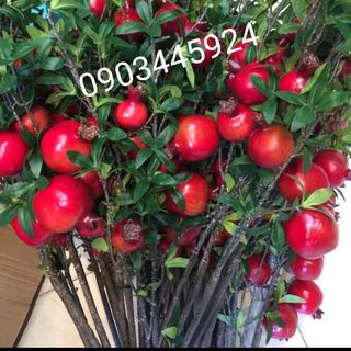 Cành Lựu giả cao cấp giống như thật 99- có Ảnh Thật