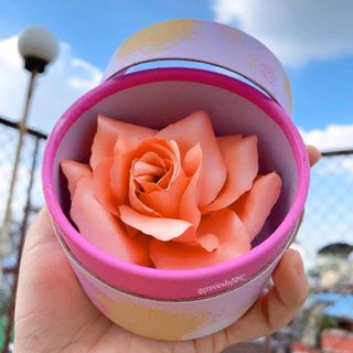 Phấn Má hồng bắt sáng HOA HỒNG 3D ROSE Shimmer