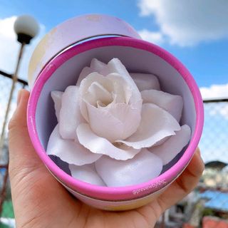 Phấn Má hồng bắt sáng HOA HỒNG 3D ROSE Shimmer