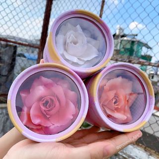 Phấn Má hồng bắt sáng HOA HỒNG 3D ROSE Shimmer
