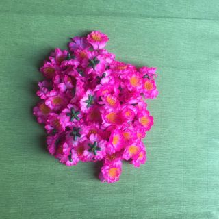 1 kg Hoa mai vải hoa đào vải giá sỉ