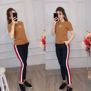 bộ coton mịn đẹp M12