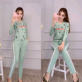 bộ coton mịn đẹp D3