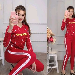 bộ coton mịn đẹp D3
