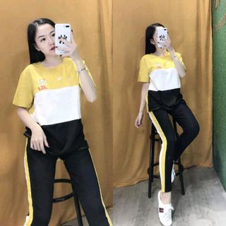 bộ coton mịn đẹp D10