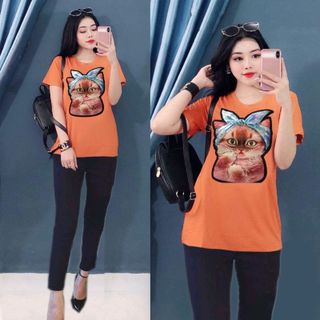 bộ coton mịn đẹp D11