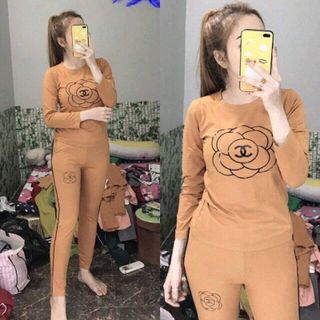 bộ coton mịn đẹp D2