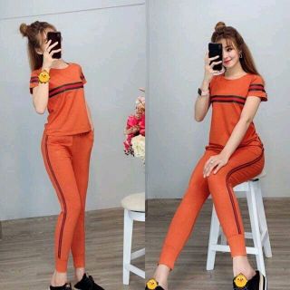 bộ coton mịn đẹp Z5