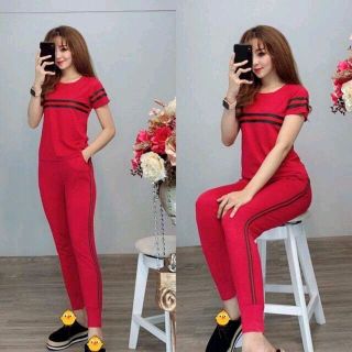 bộ coton mịn đẹp Z5