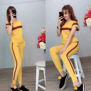 bộ coton mịn đẹp Z5