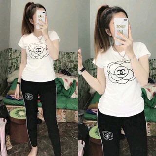 bộ coton mịn đẹp Z1