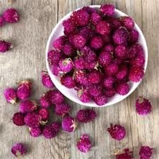 Trà Cúc Bách Nhật Tím 1 KG Cúc Bách Nhật Khô