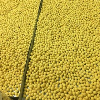 Viên Tinh Bột Nghệ Mật Ong Sạch Thuần Thực Vật