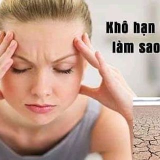 HOMOLADY nội tiết tố khô hạn nám má tàn nhan giá sỉ