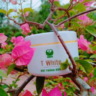Bột thảo dược trắng răng T-White