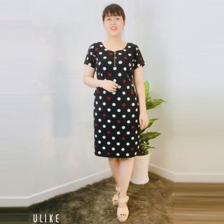 Đầm Suông Họa Tiết Chấm Bi Cổ Tròn Dây Kéo