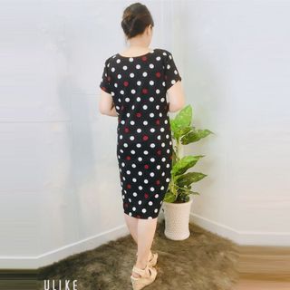 Đầm Suông Họa Tiết Chấm Bi Cổ Tròn Dây Kéo
