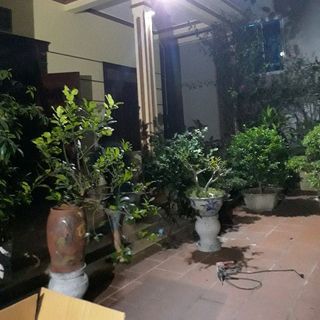 Đèn năng lượng mặt trời solar light