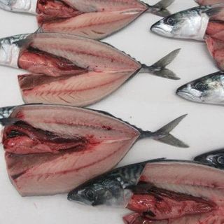 Cá sapa NAUY - SIZE 400-600 VÙNG BIỂN FAO 27 xưởng Anh đánh bắt