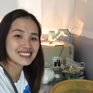 YẾN SÀO NHÀ NUÔI THÔ HỘP 100GR