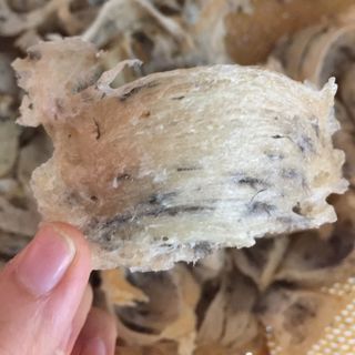YẾN SÀO NHÀ NUÔI THÔ HỘP 100GR