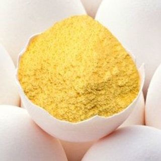 Bột lòng đỏ trứng