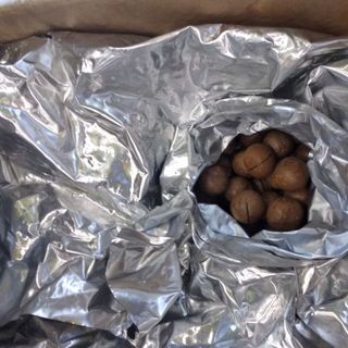Hạt Mắc-ca Úc Thùng 10KG