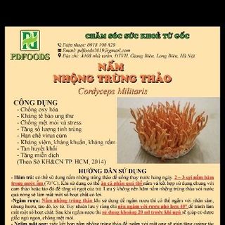 Nấm nhộng trùng thảo sấy khô Cordyceps militaris