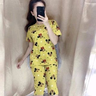 bộ coton mịn đẹp S13