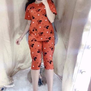 bộ coton mịn đẹp S13