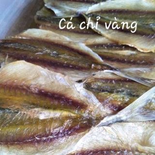 Cá chỉ vàng