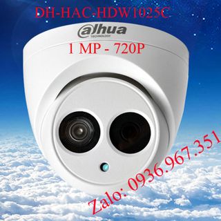Camera IP Dahua DH-IPC-1025C