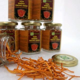 Nấm nhộng trùng thảo sấy khô Cordyceps militaris