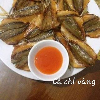 Cá chỉ vàng
