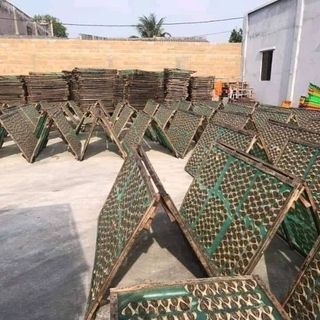 Cá chỉ vàng